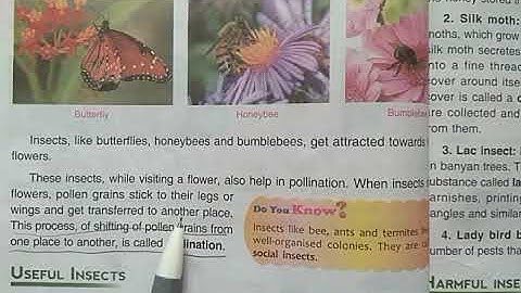 DAV Nahan Class-IV Science Lesson-6, Part-2