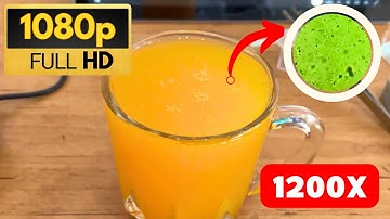 🔬🥭 Exploring the Microscopic World of Mango Juice: A Colorful Adventure! 🌈