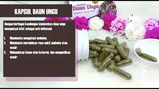 JUAL || KASPSUL DAUN UNGU || INFO PEMESANAN 081285662031 || OBAT AMBEIEN / WASIR AMPUH ATASI