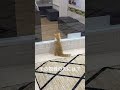 何かを見ている子猫の後ろ姿 #猫のいる暮らし