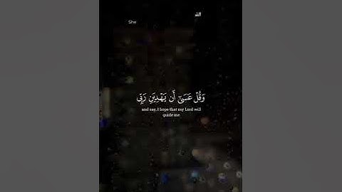 المنشاوي #قران_كريم #تلاوة_خاشعة #قرآن #قران #اكسبلور