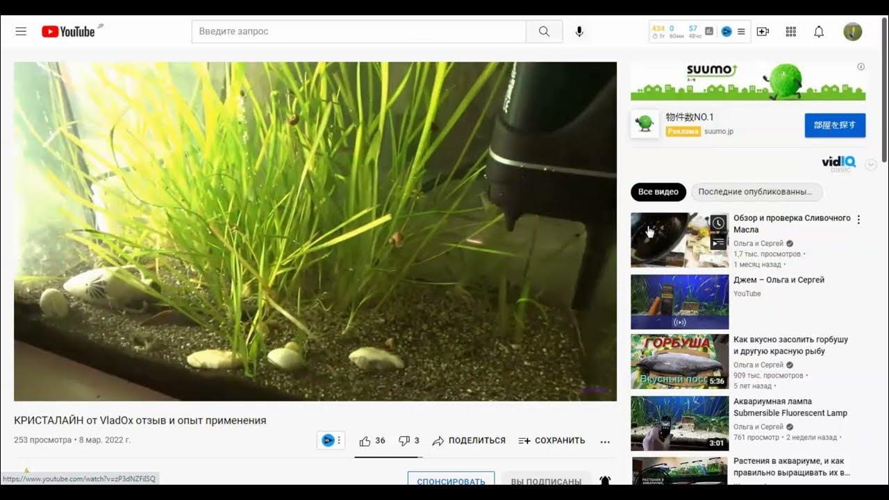 Ютуб отключили или нет последние новости. Ютуб отключили или нет последние новости. Скоро заблокируют ютуб. Отключи youtube. Отключение ютуб.