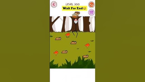 Thief puzzle level 200