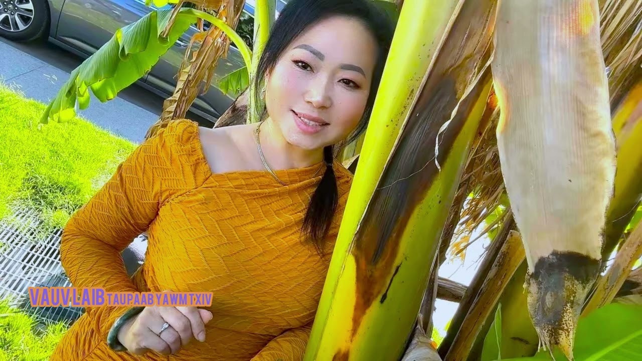 Vauv Laib Tau Paab Yawm Txiv 10-27-2025