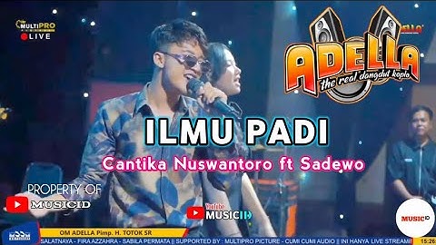 ILMU PADI - SADEWO FT CANTIKA NUSWANTORO - OM ADELLA LIVE PEKALONGAN 