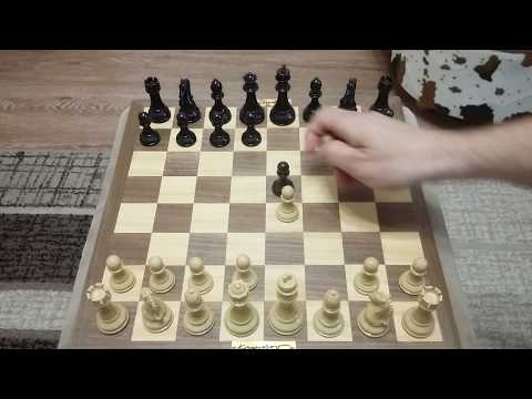 Видео: Шахматы. Как легко стать профессионалом в шахматах. Сильная ловушка.