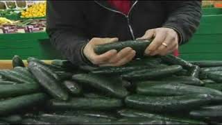 How to Pick Out a Cucumber