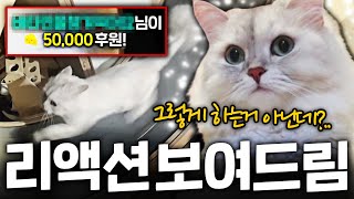 아 ㅋㅋㅋ 리액션 그렇게 하는거아닌데