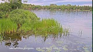 Preview of stream Live LoonCam on Lake Vermilion