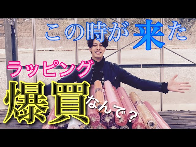 シクラメン生産者からの贈り物〉こんなに買ってどうすんの！？いや