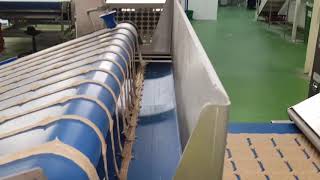 Complete Bakery Production Line - Flat Breads