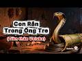 Chuyện Con Rắn Trong Ống Tre | Chuyện Tiền Thân Đức Phật - Veluka