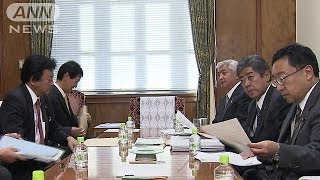 NSC法案　自・公・民が修正合意　きょう採決へ(13/11/06)