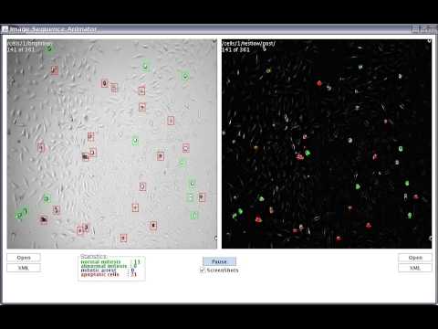 Cell detection and tracking in Java