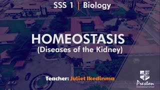 Homeostasis (Diseases of the Kidney) - SSS1 Biology