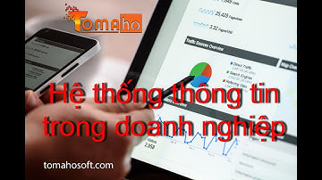 Hệ thống thông tin trong doanh nghiệp