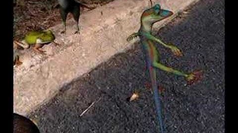 cinema 4d c4d poser camera tracking matchmoving animation