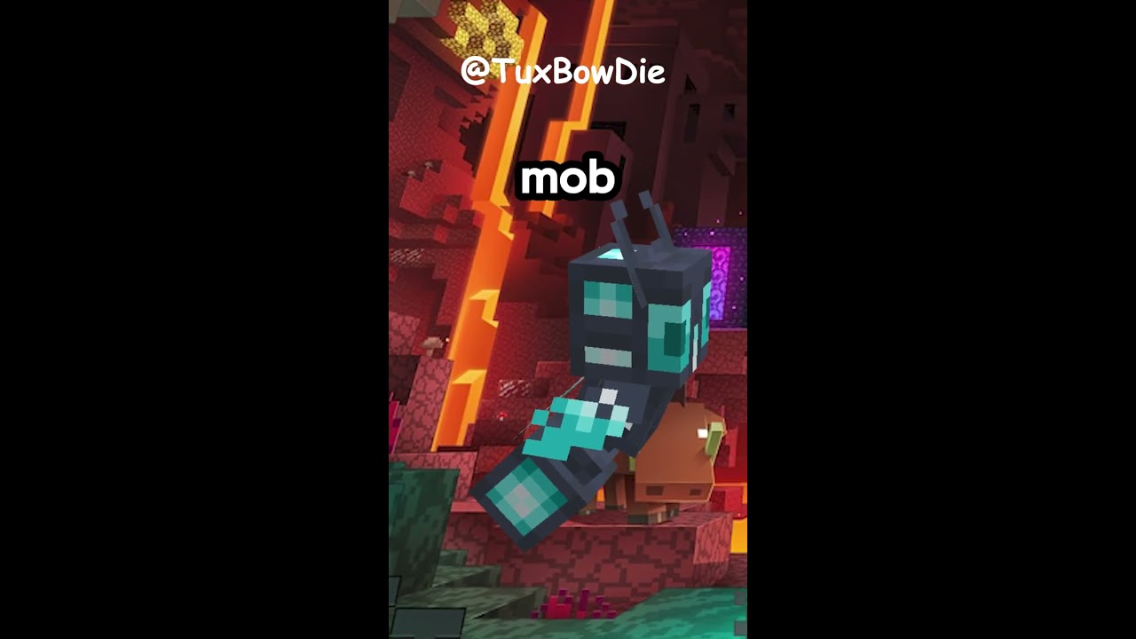 30 Second Minecraft Mob Concept The Chained