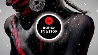 House Music - Laidback Luke x Raven & Kreyn - Bam Bam  House Remix  - HOUSE STATION (No Copyright)