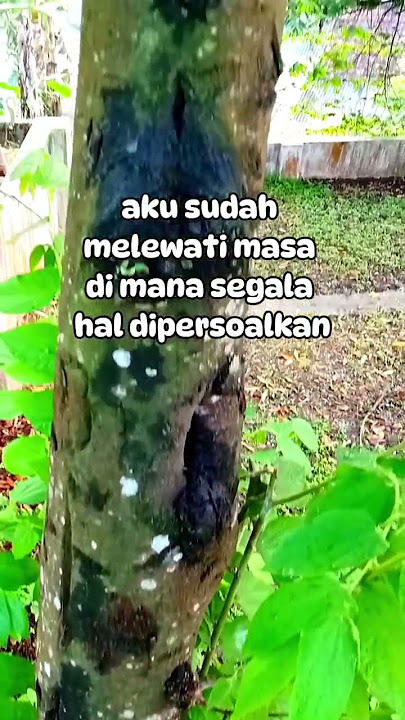 Yang kuinginkan sekarang hanyalah hidup dalam kedamaian #motivasihiduplebihbaik #quotes