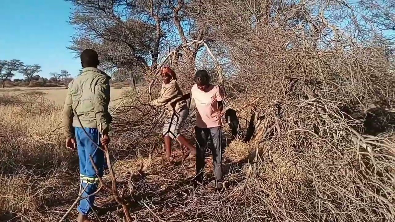 Life on Our Farm  | Winter season | Namibian YouTuber