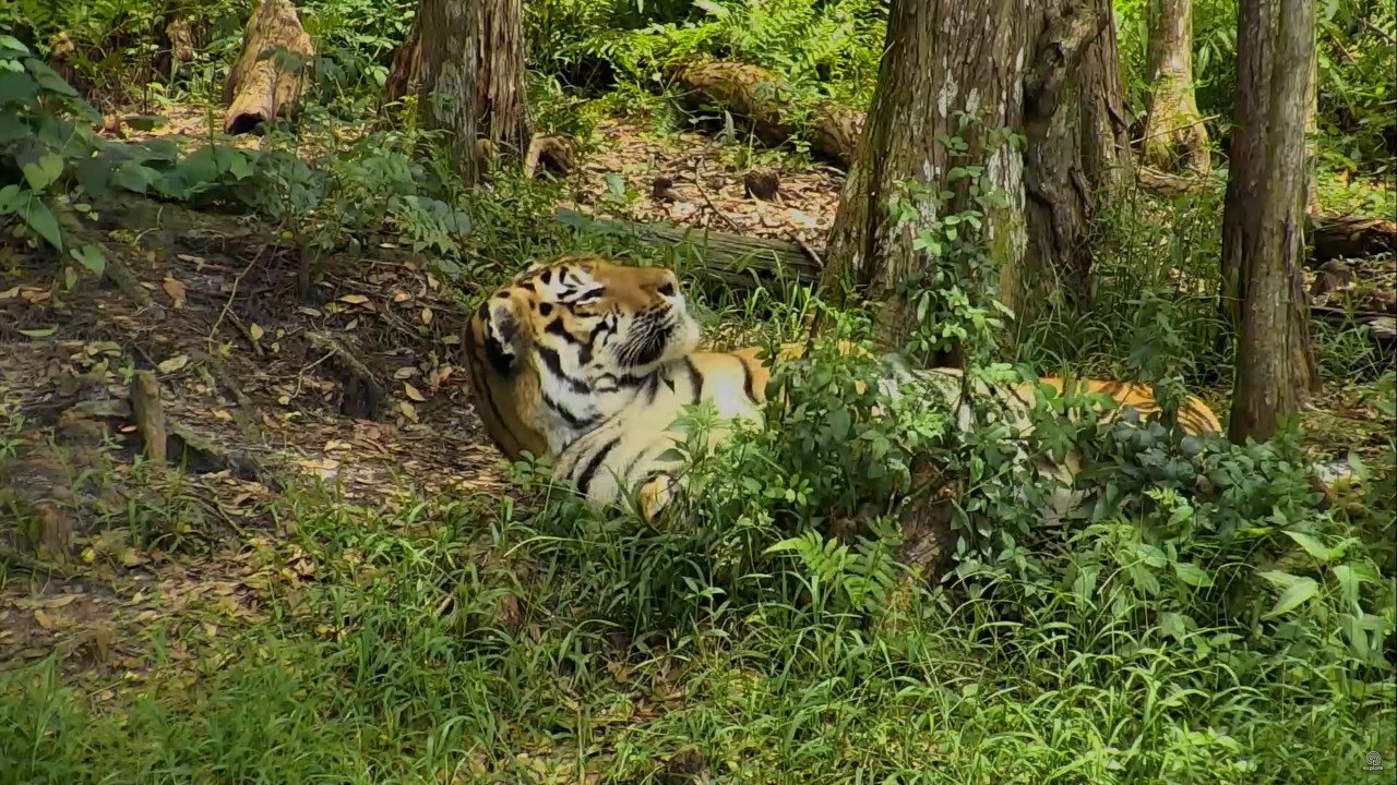 Seth and a squirrel, TL June 17