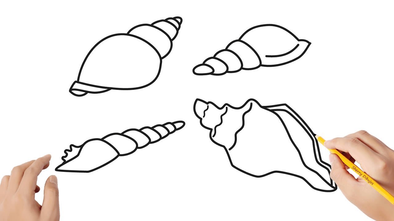 Cómo dibujar una concha | Dibujos sencillos - thptnganamst.edu.vn