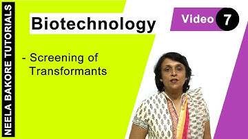 Biotechnology | NEET | Screening of Transformants | Neela Bakore Tutorials