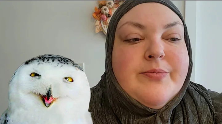 The Morning After in Hijab