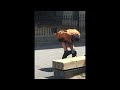 Schwee The People Ep. 10 Hobos Shitting in Public