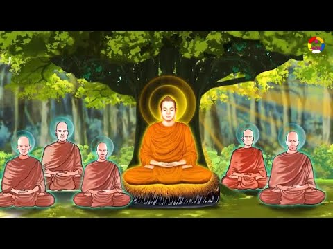 Chuyện Kể Về Cuộc Đời Đức Phật Thích Ca Mâu Ni | Phần 3 | Ttpq - Youtube