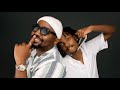 NDOVU KUU - MY WORK IS TO PARTY FT. LIL MAINA (Official Audio)