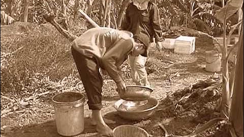 Giật mình nhớ về Hải Dương thưởng thức chả rươi - Tản văn Nguyễn Đình Vinh