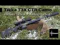 Tikka T3X CTR Camo - Compact Tactical or Hunting Practical? Full Test and Deer Hunt