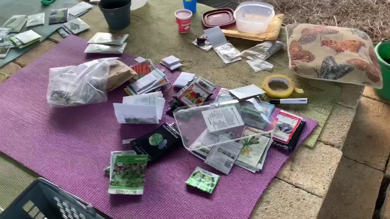 Finca Pajuil • Día 8 • parte 2 Hatillo, Puerto Rico micajitapr