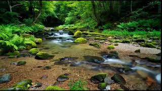 INSTANT PEACE: 8 Hours of Music That Melts Away Stress &amp; Anxiety | Deep Sleep Aid &amp; Focus