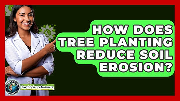 How Does Tree Planting Reduce Soil Erosion? - Earth Science Answers