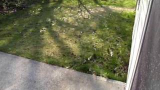 5215 Seerley Creek Dr.  Indianapolis, IN 46241