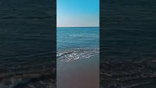 Oltasına Kum Köpekbalığı Takıldı