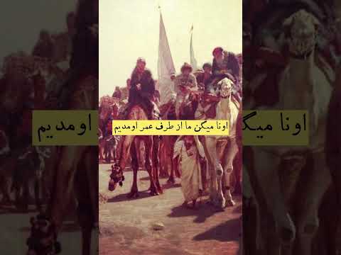 عرب های سوسمارخور اسلام Shorts