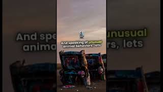 Unbelievable! This Shocking Revelation Will Change Everything You Thought You Knew