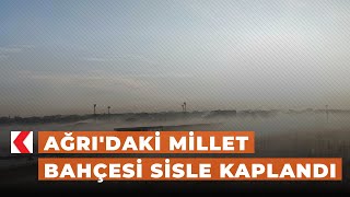 Ağrı'daki Millet Bahçesi sisle kaplandı