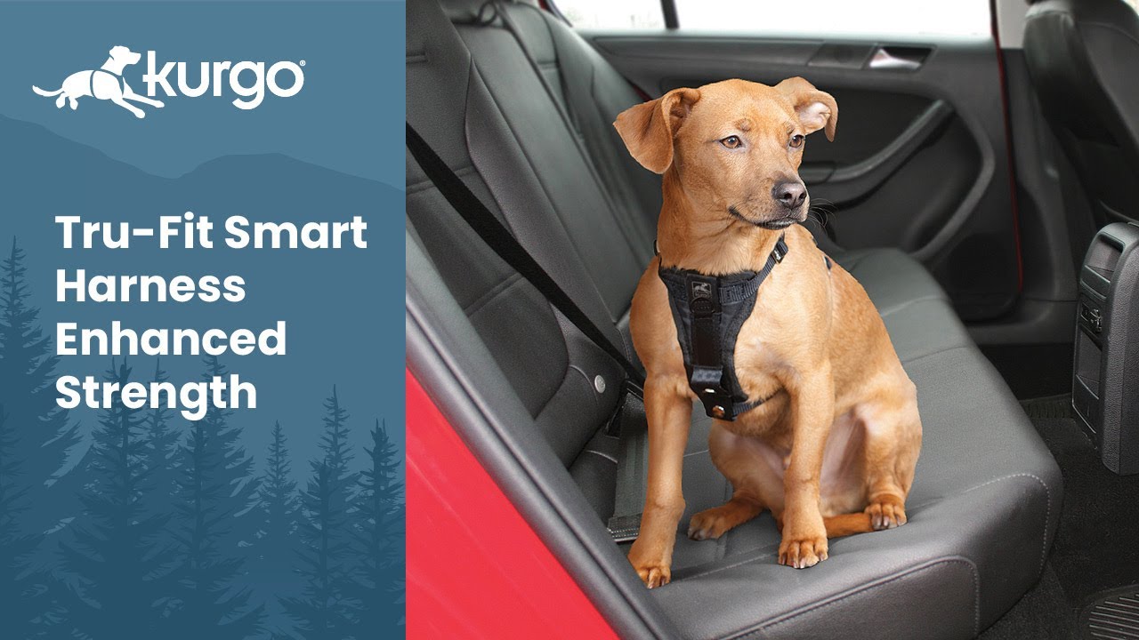 smart dog harness