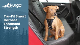 The TruFit Smart Harness Enhanced Strength | Crash Tested Dog Safety Harness