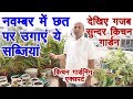 नवंबर में छत पर उगाएं इतनी अच्छी सब्जियां Sow Vegetables in November Kitchen # Terrace Gardening