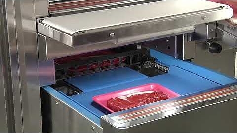 Ishida WM-AI Automatic Wrapper