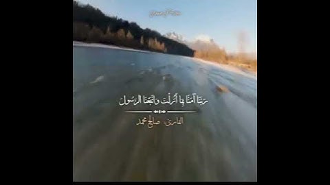 القارئ: صالح محمد العامر
