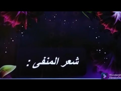 شرح لدرس المدرسة الكلاسيكية للشعب الأدبية