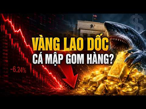 Giá vàng lao dốc, cá mập gom hàng: Tín hiệu gì đang xuất hiện? | GÓC NHÌN GIÀU CÓ
