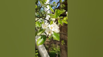 #explore #استغفر_الله #quran #حالات_واتساب #قران #تلاوة #قران_بصوت_جميل #سبحان_الله #اسلام_صبحى